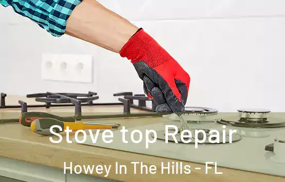  Stove top Repair Howey In The Hills - FL