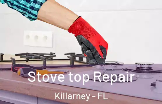  Stove top Repair Killarney - FL