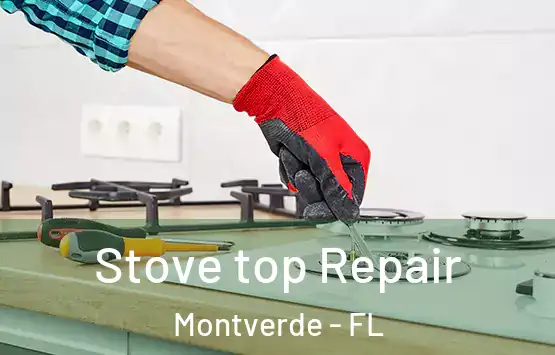  Stove top Repair Montverde - FL