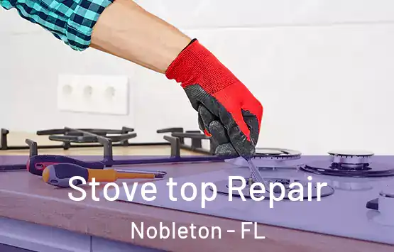  Stove top Repair Nobleton - FL
