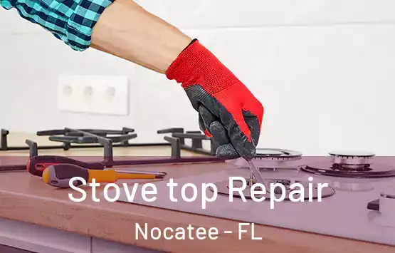  Stove top Repair Nocatee - FL