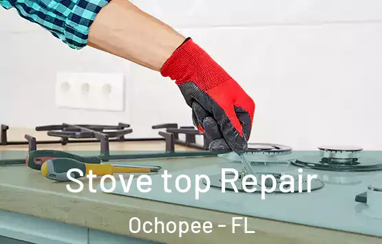  Stove top Repair Ochopee - FL
