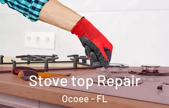  Stove top Repair Ocoee - FL