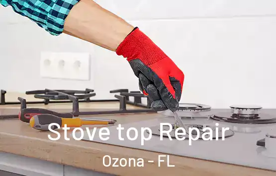  Stove top Repair Ozona - FL