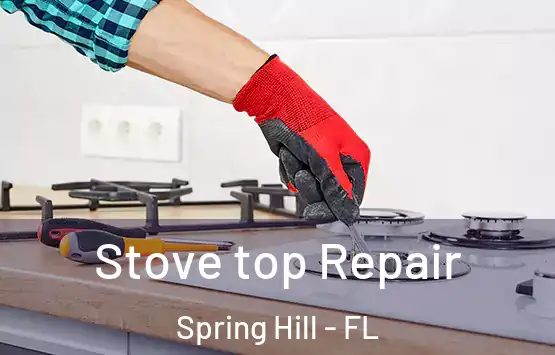  Stove top Repair Spring Hill - FL