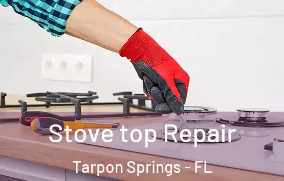  Stove top Repair Tarpon Springs - FL