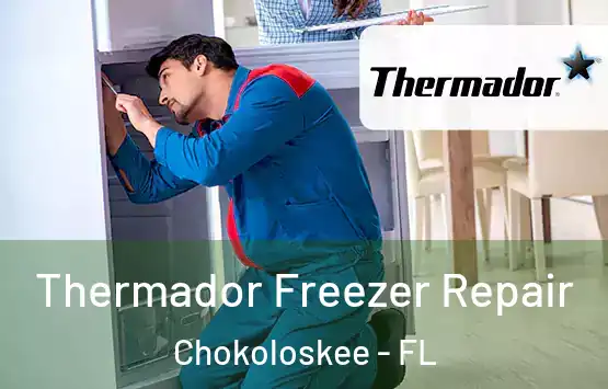  Thermador Freezer Repair Chokoloskee - FL
