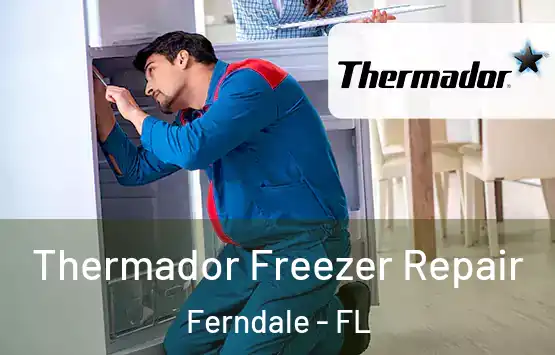  Thermador Freezer Repair Ferndale - FL