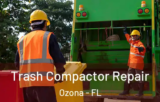  Trash Compactor Repair Ozona - FL