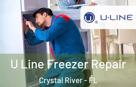  U Line Freezer Repair Crystal River - FL