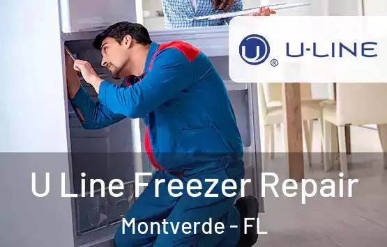  U Line Freezer Repair Montverde - FL