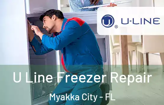  U Line Freezer Repair Myakka City - FL