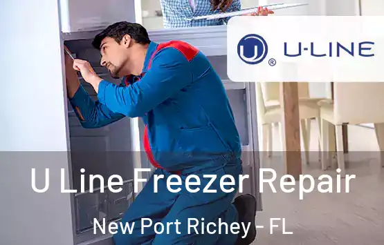  U Line Freezer Repair New Port Richey - FL
