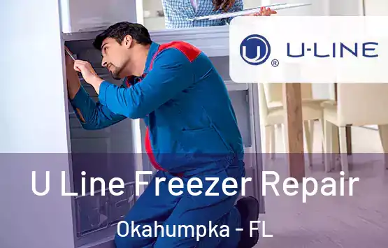  U Line Freezer Repair Okahumpka - FL