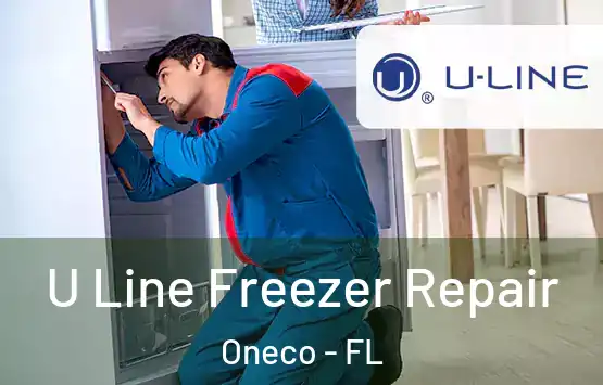  U Line Freezer Repair Oneco - FL