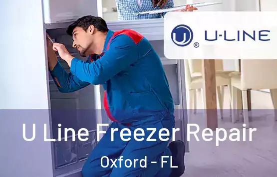  U Line Freezer Repair Oxford - FL