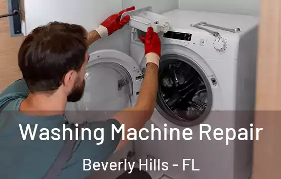  Washing Machine Repair Beverly Hills - FL