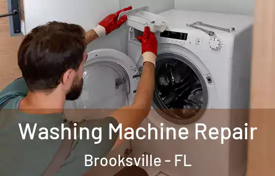  Washing Machine Repair Brooksville - FL