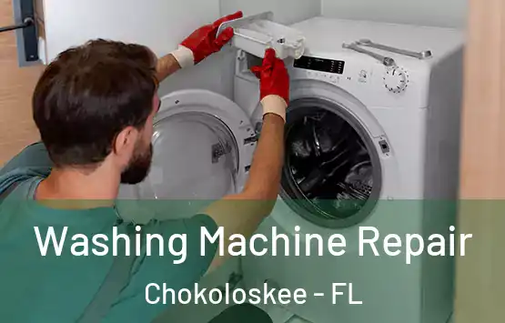  Washing Machine Repair Chokoloskee - FL