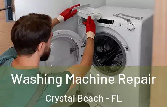  Washing Machine Repair Crystal Beach - FL