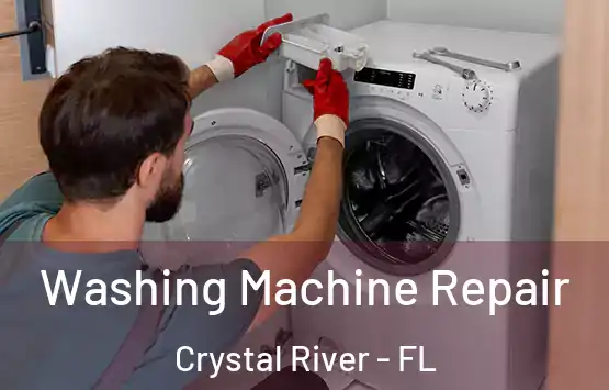  Washing Machine Repair Crystal River - FL