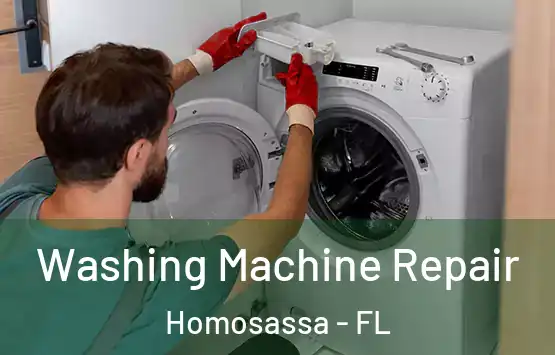  Washing Machine Repair Homosassa - FL
