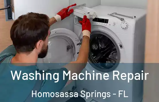  Washing Machine Repair Homosassa Springs - FL