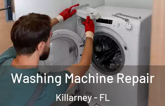  Washing Machine Repair Killarney - FL
