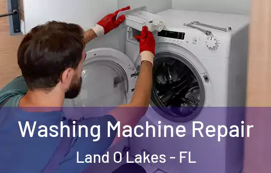  Washing Machine Repair Land O Lakes - FL
