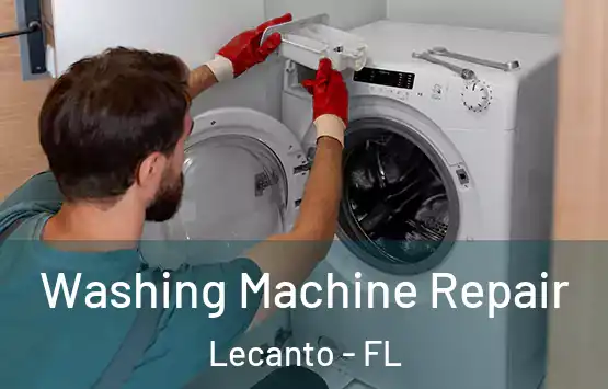  Washing Machine Repair Lecanto - FL