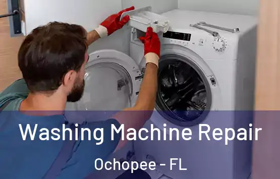 Washing Machine Repair Ochopee - FL