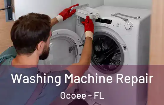  Washing Machine Repair Ocoee - FL