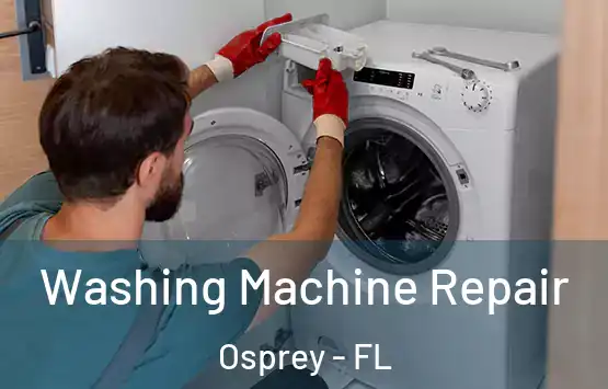  Washing Machine Repair Osprey - FL