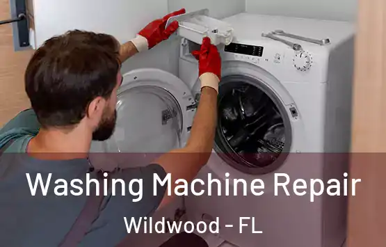  Washing Machine Repair Wildwood - FL