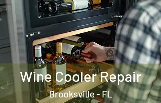  Wine Cooler Repair Brooksville - FL