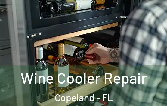  Wine Cooler Repair Copeland - FL