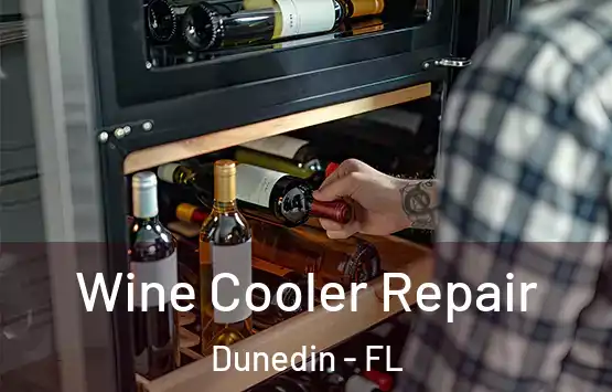  Wine Cooler Repair Dunedin - FL