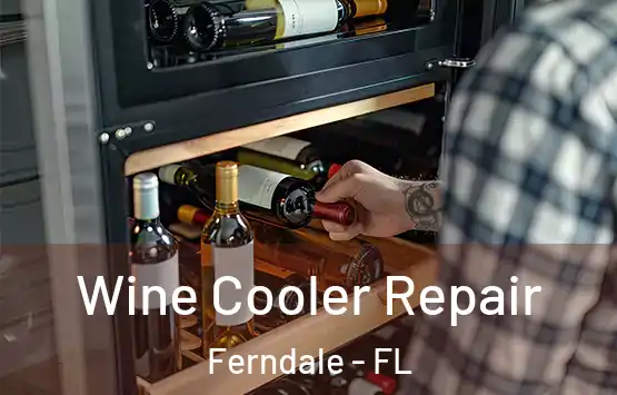  Wine Cooler Repair Ferndale - FL