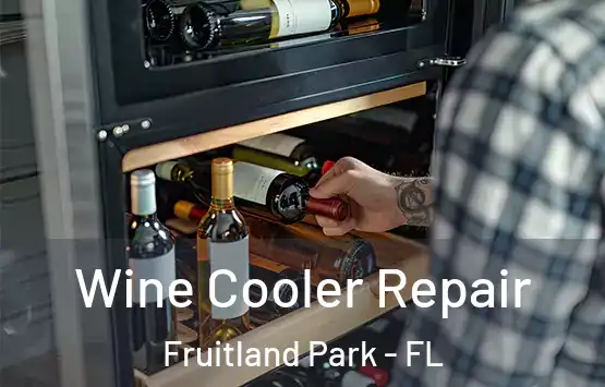  Wine Cooler Repair Fruitland Park - FL