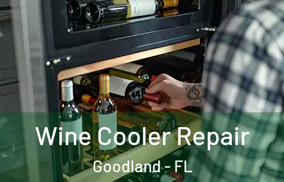  Wine Cooler Repair Goodland - FL
