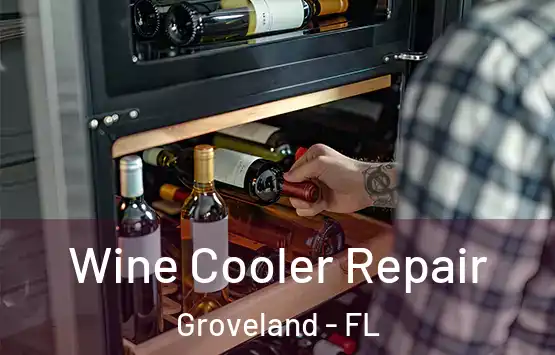 Wine Cooler Repair Groveland - FL