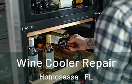  Wine Cooler Repair Homosassa - FL