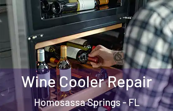  Wine Cooler Repair Homosassa Springs - FL