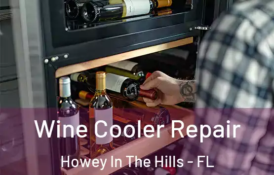  Wine Cooler Repair Howey In The Hills - FL