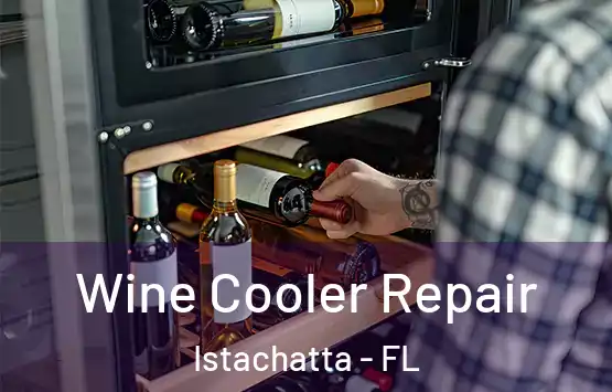  Wine Cooler Repair Istachatta - FL