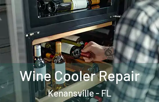  Wine Cooler Repair Kenansville - FL