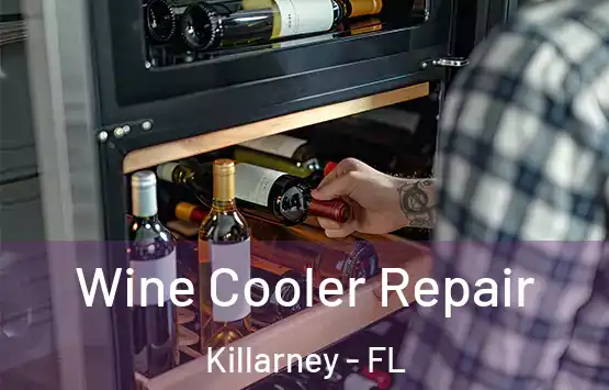  Wine Cooler Repair Killarney - FL