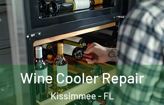  Wine Cooler Repair Kissimmee - FL