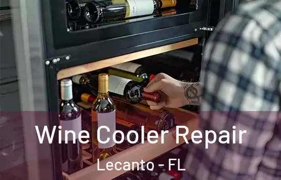  Wine Cooler Repair Lecanto - FL