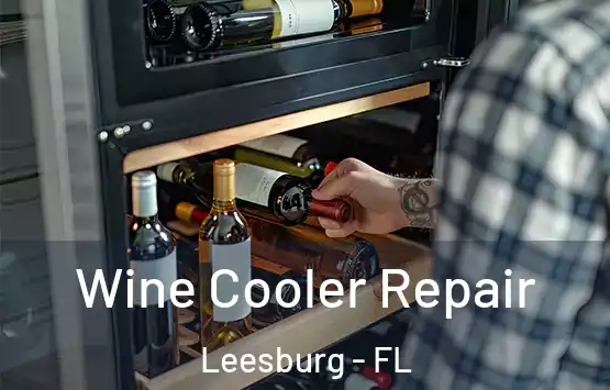  Wine Cooler Repair Leesburg - FL